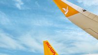 Pegasus Airlines