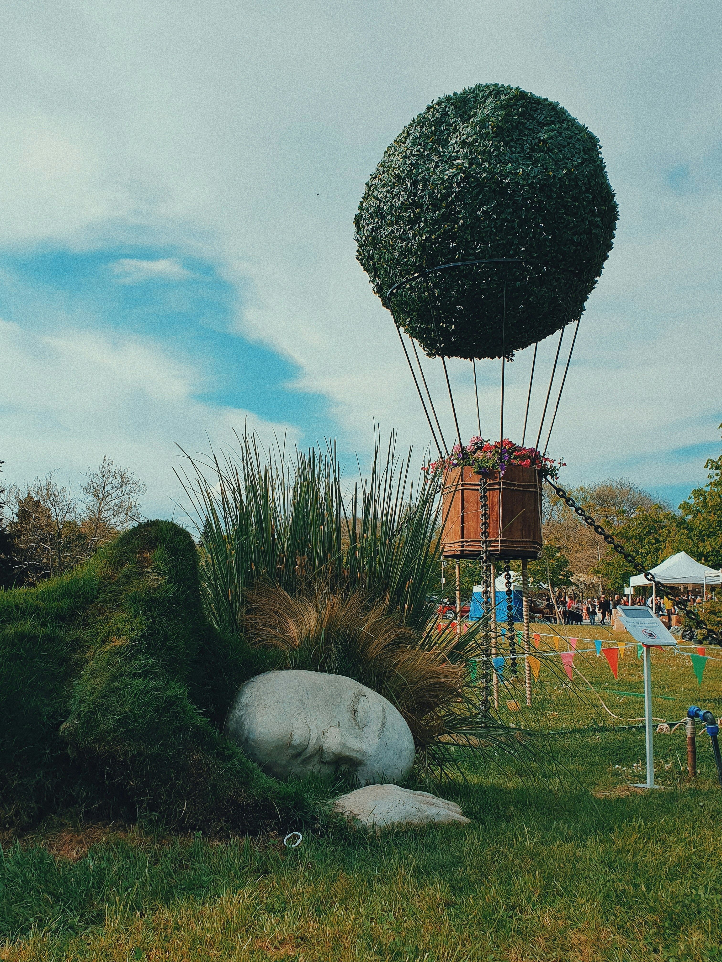 Bilete de avion din ,[object Object], către ,[object Object] - OOZH.RO