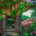 Daegu - Bucharest
