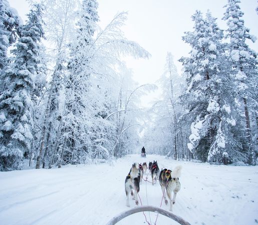 Cluj-Napoca-Rovaniemi