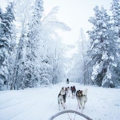 București - Rovaniemi