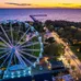 Baia Mare - Palanga