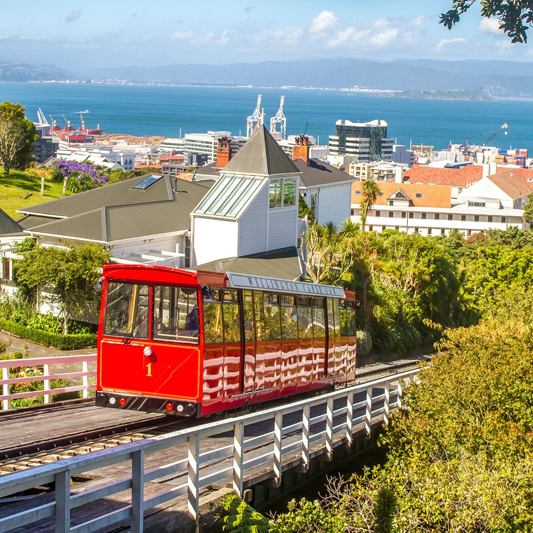 Flugtickets aus Hamburg zu Wellington - OOZH.DE