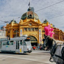 București - Melbourne