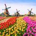 Moldova - Netherlands