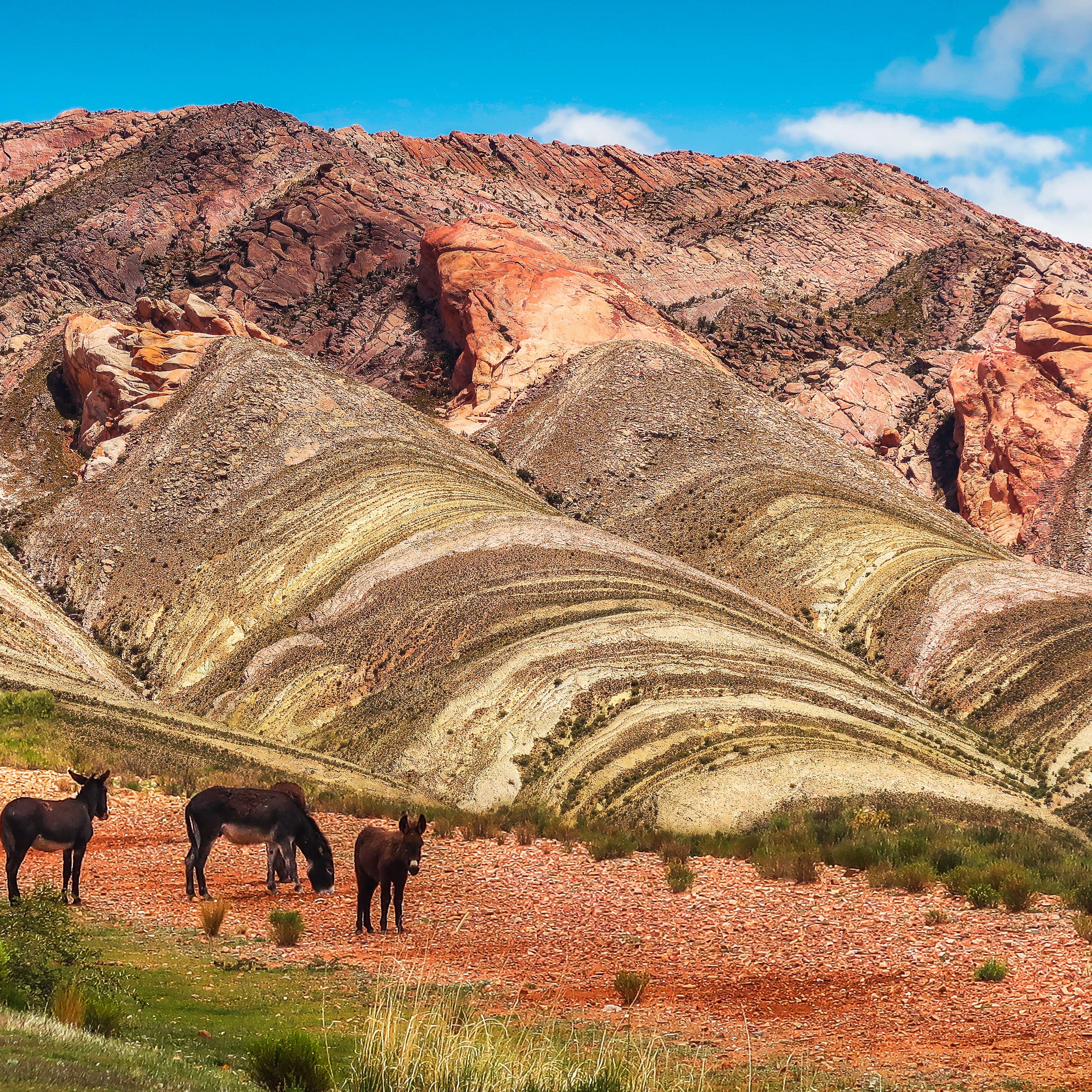 Flights from Romania to Argentina - Zbor24.ro
