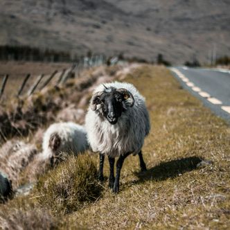 Kerry County