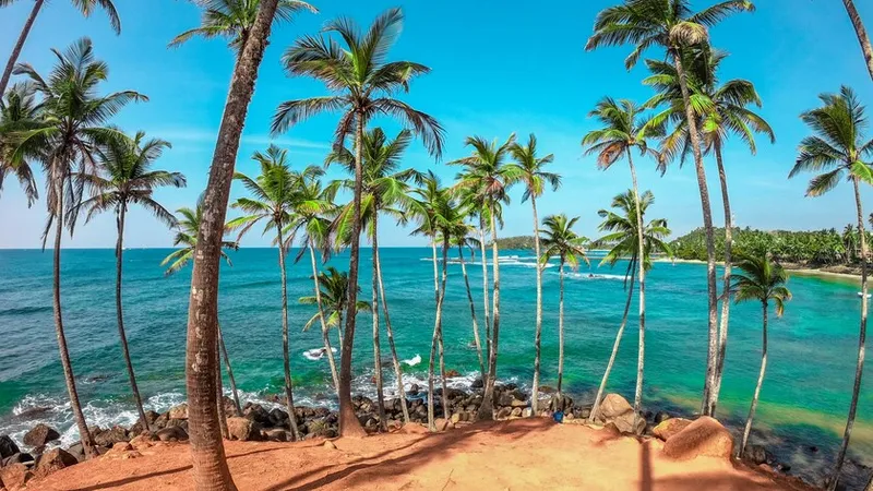 Why now is the perfect time to fly to Sri Lanka