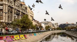 Iași - București