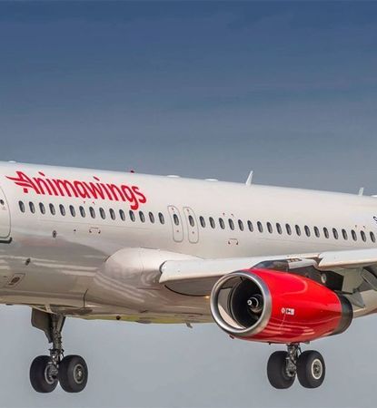 Cheap plane tickets with Animawings - Flugo.ro