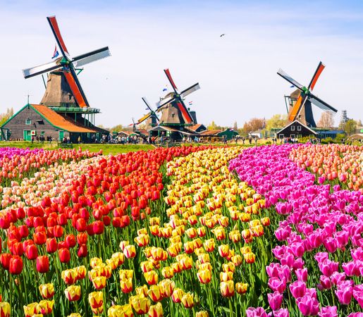 Book Flights Romania to Netherlands