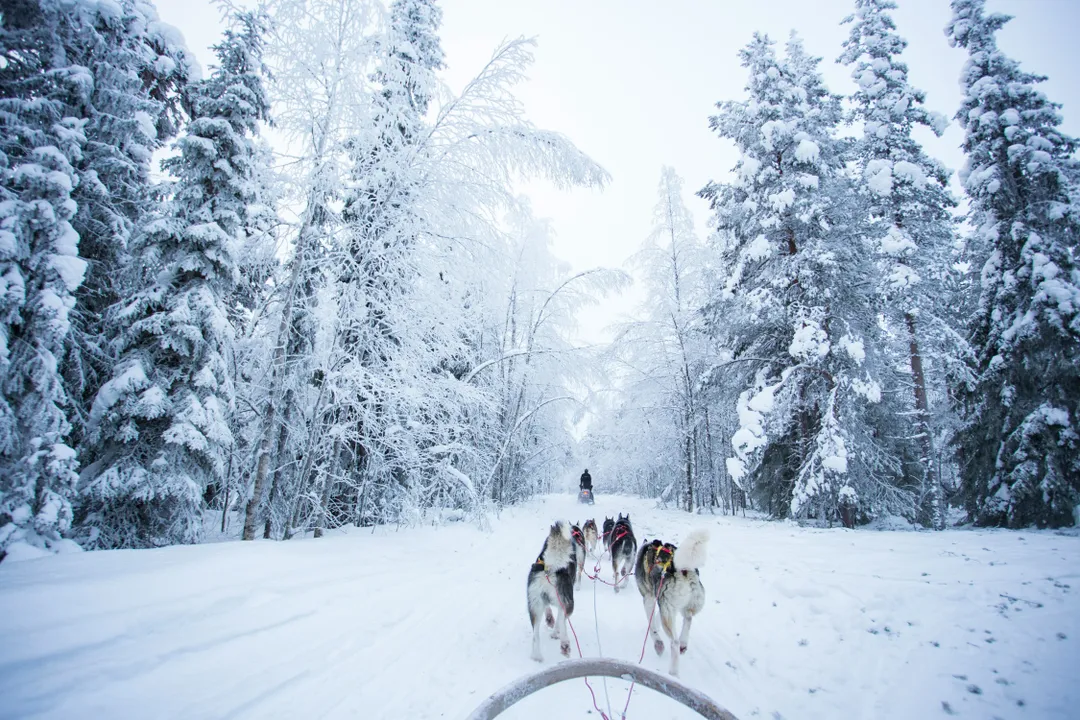 Cheap flight tickets 
from Bucharest to Rovaniemi - Zbor24.ro