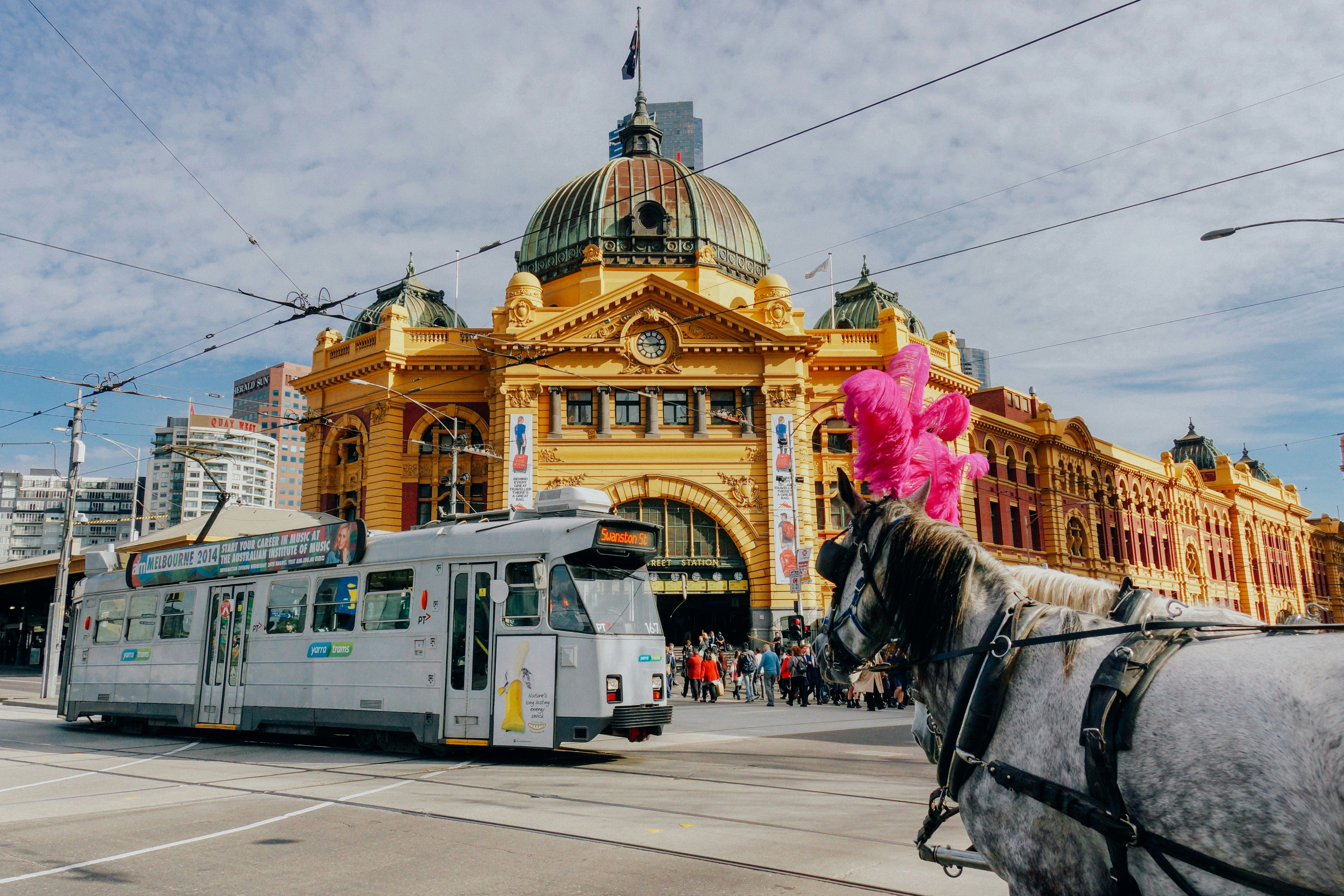 Bacau-Melbourne - Zbor24.ro