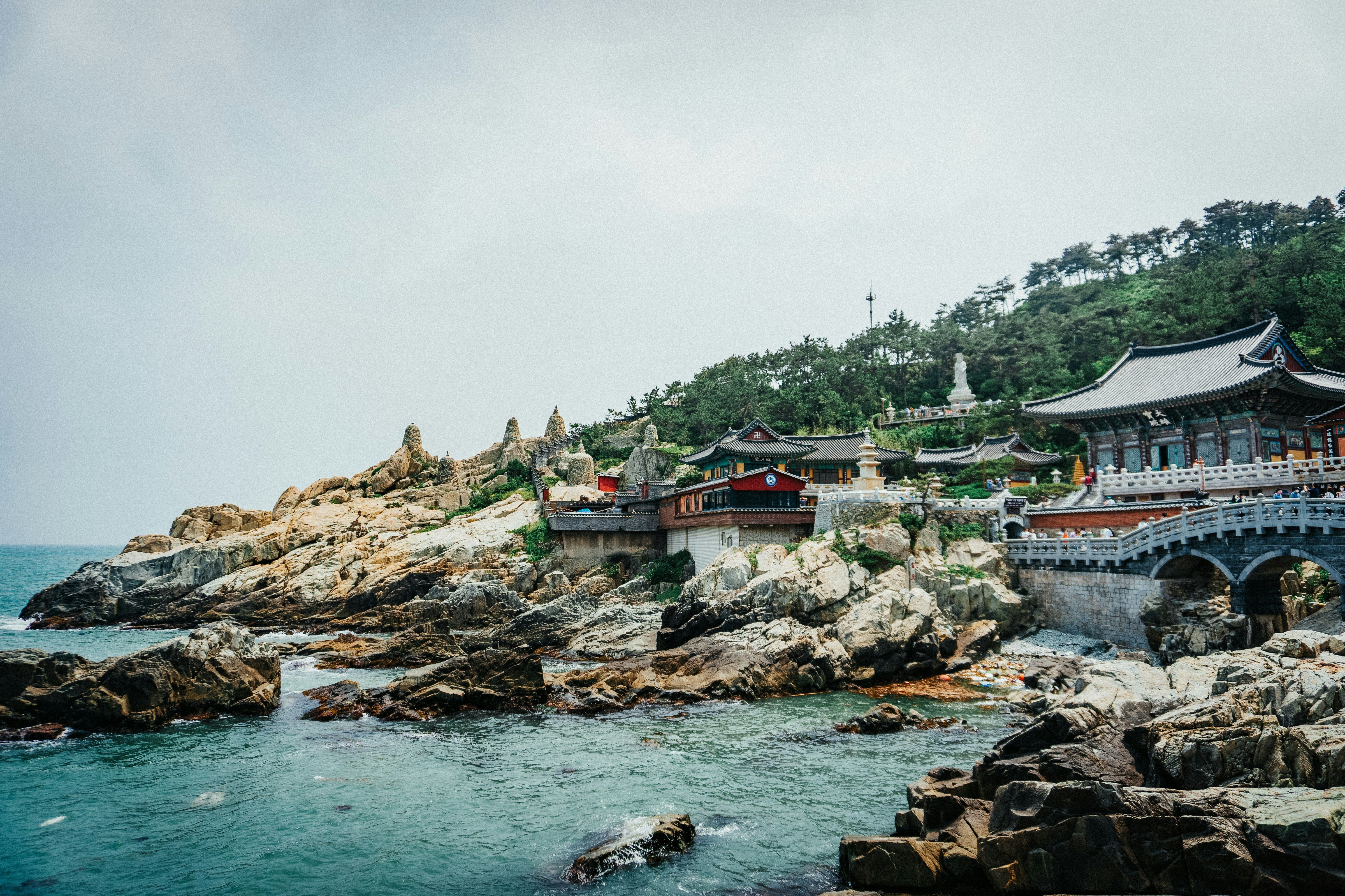 Bacau-Busan - Zbor24.ro