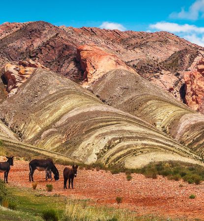 Flights from Romania to Argentina