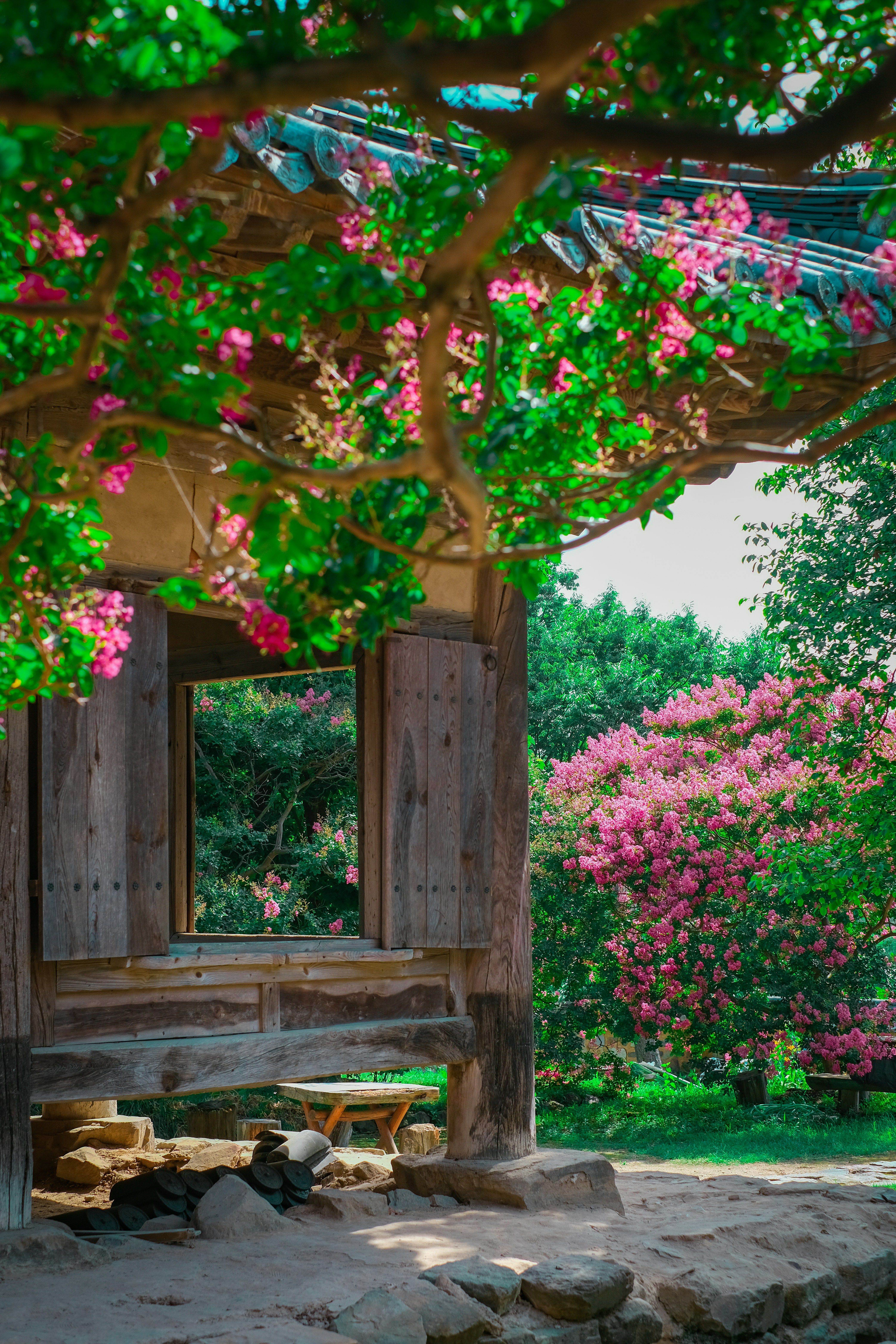 Baia Mare-Daegu - Zbor24.ro