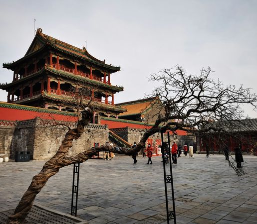 Chișinău-Shenyang