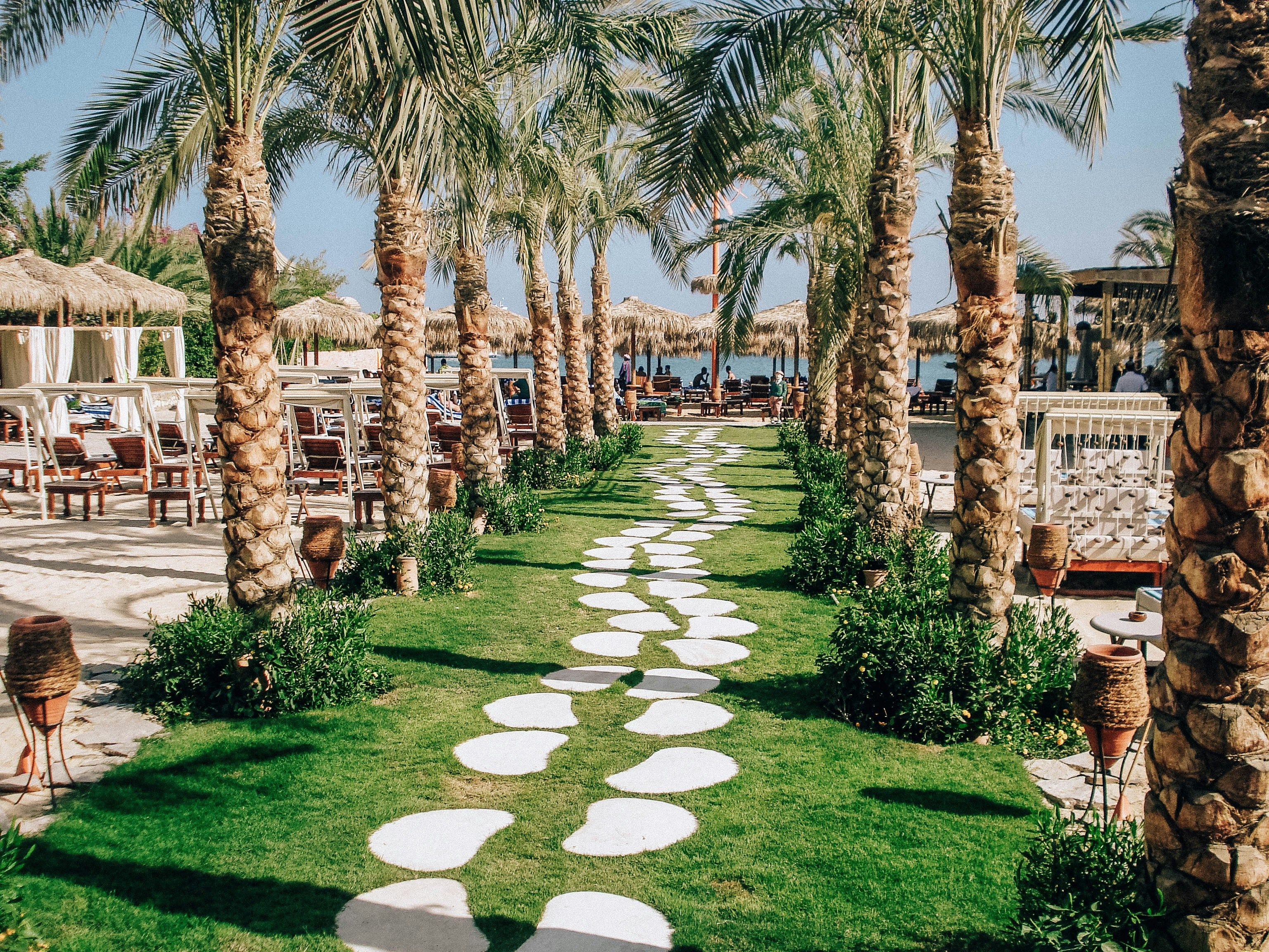 Iasi-Hurghada - Zbor24.ro
