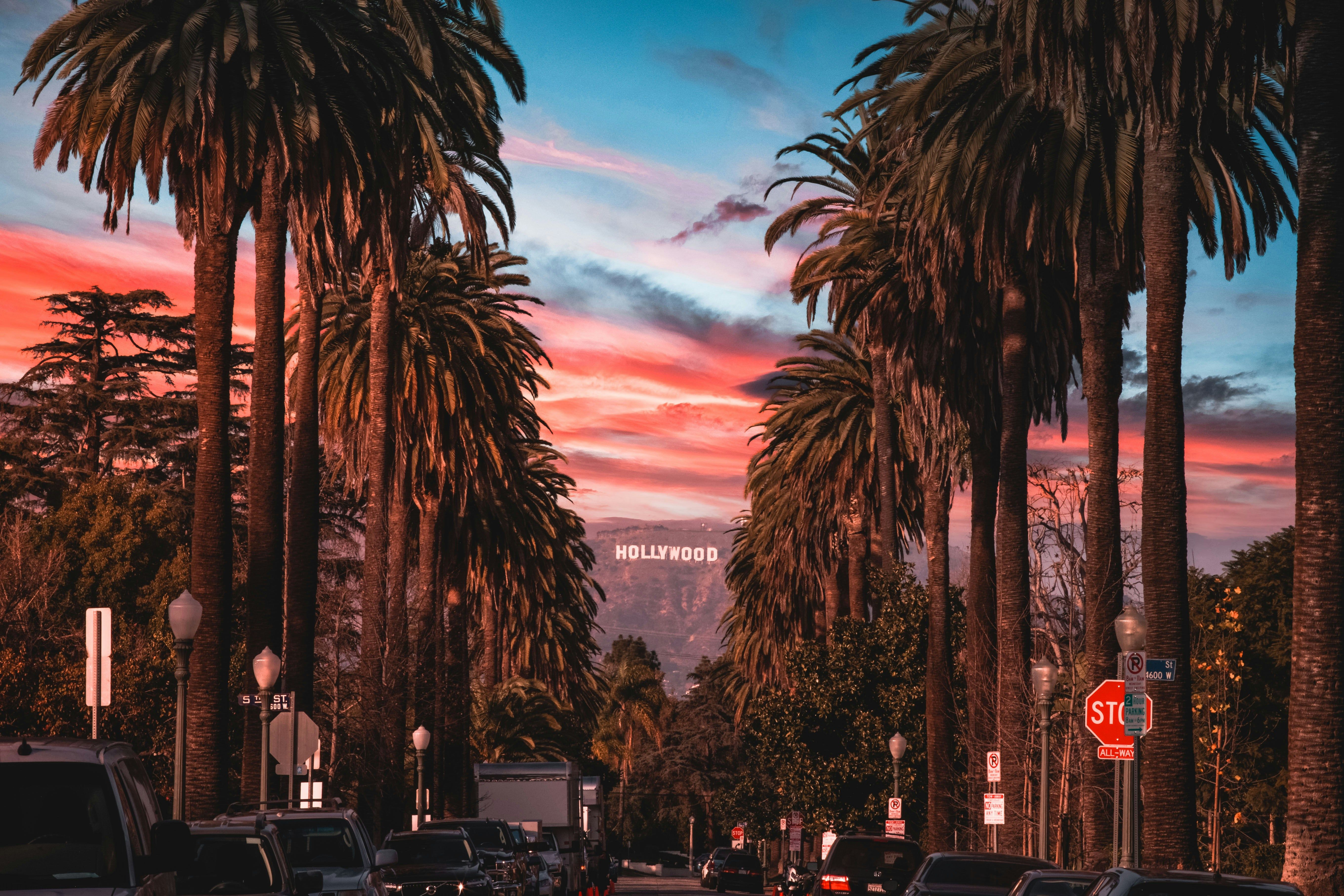 Bacau-Los Angeles - Zbor24.ro