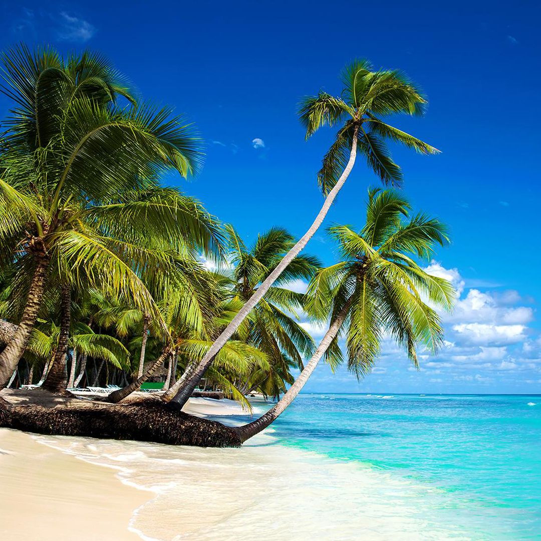 Airline tickets 
from Moldova to Dominican Republic - Zbor.md