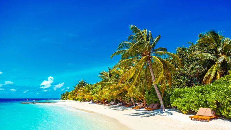 Premium holiday in the Maldives - an exclusive escape in paradise