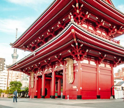 Cluj-Napoca-Tokyo