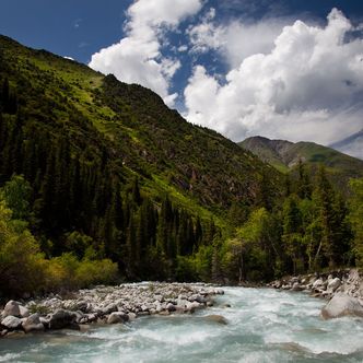 Բիշկեկ