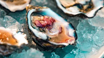 Taste the world’s finest cuisines while you travel