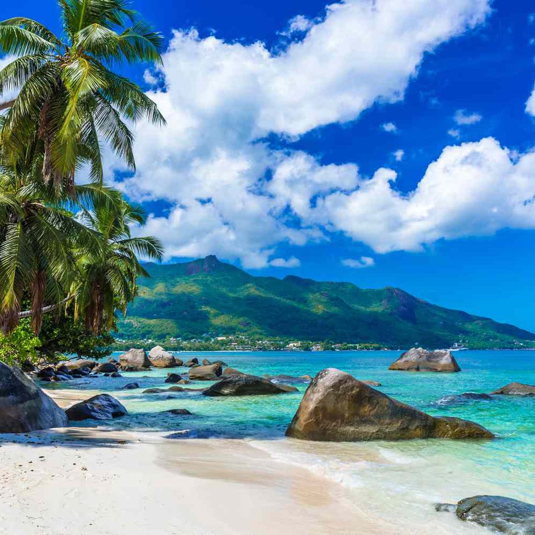 Bilete de avion 
din România către Seychelles - Zbor24.ro