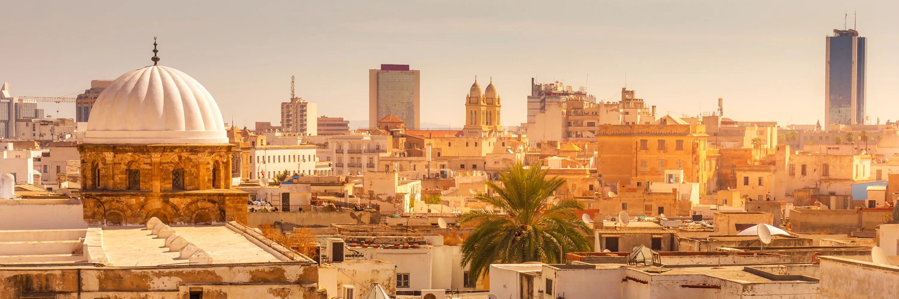 Billets d'avion de Nantes àTunis - OOZH.FR