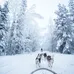 Rovaniemi - Baia Mare