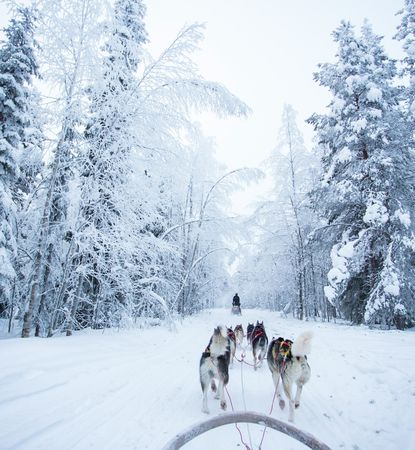 București-Rovaniemi