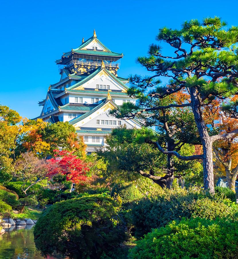 cheap-flight-from-baia-mare-to-osaka-buy-now