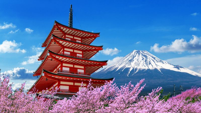 Tokyo – a futuristic city to explore with Turkish Airlines