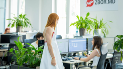 Zbor.md – Быстрое и надёжное бронирование авиабилетов