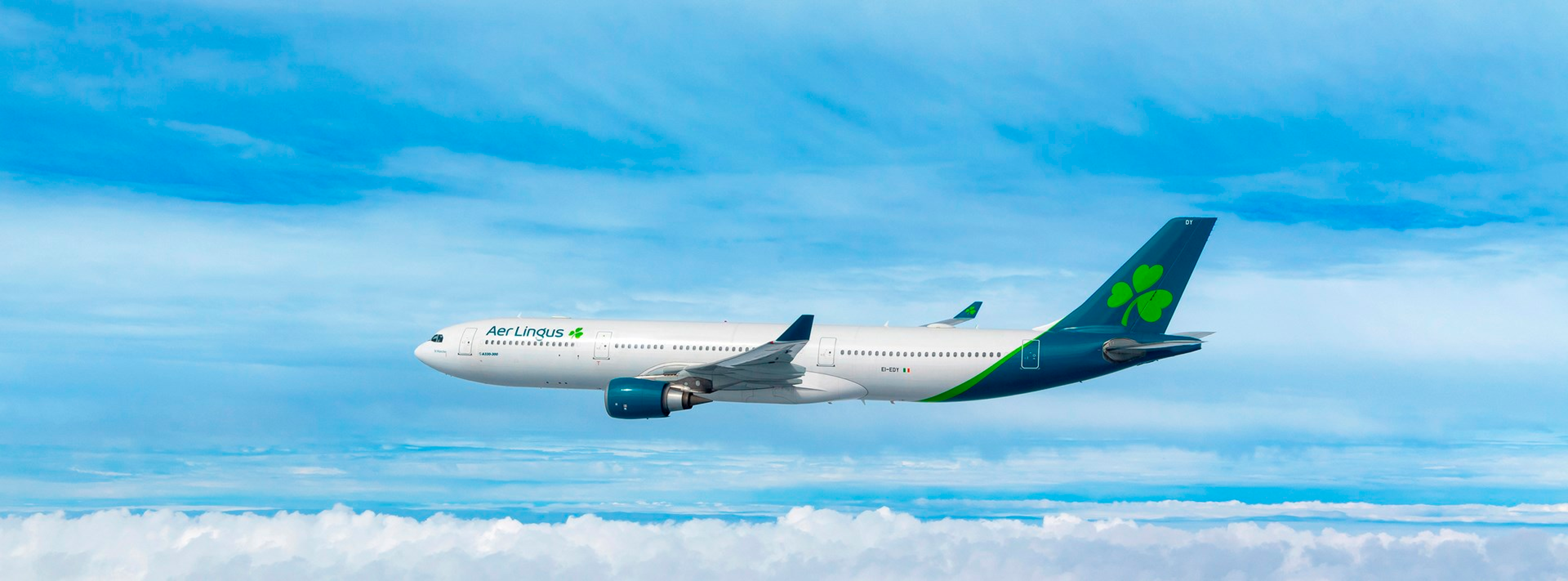 Aer Lingus Flights: Quality and Comfort at Altitude - Zbor24.ro
