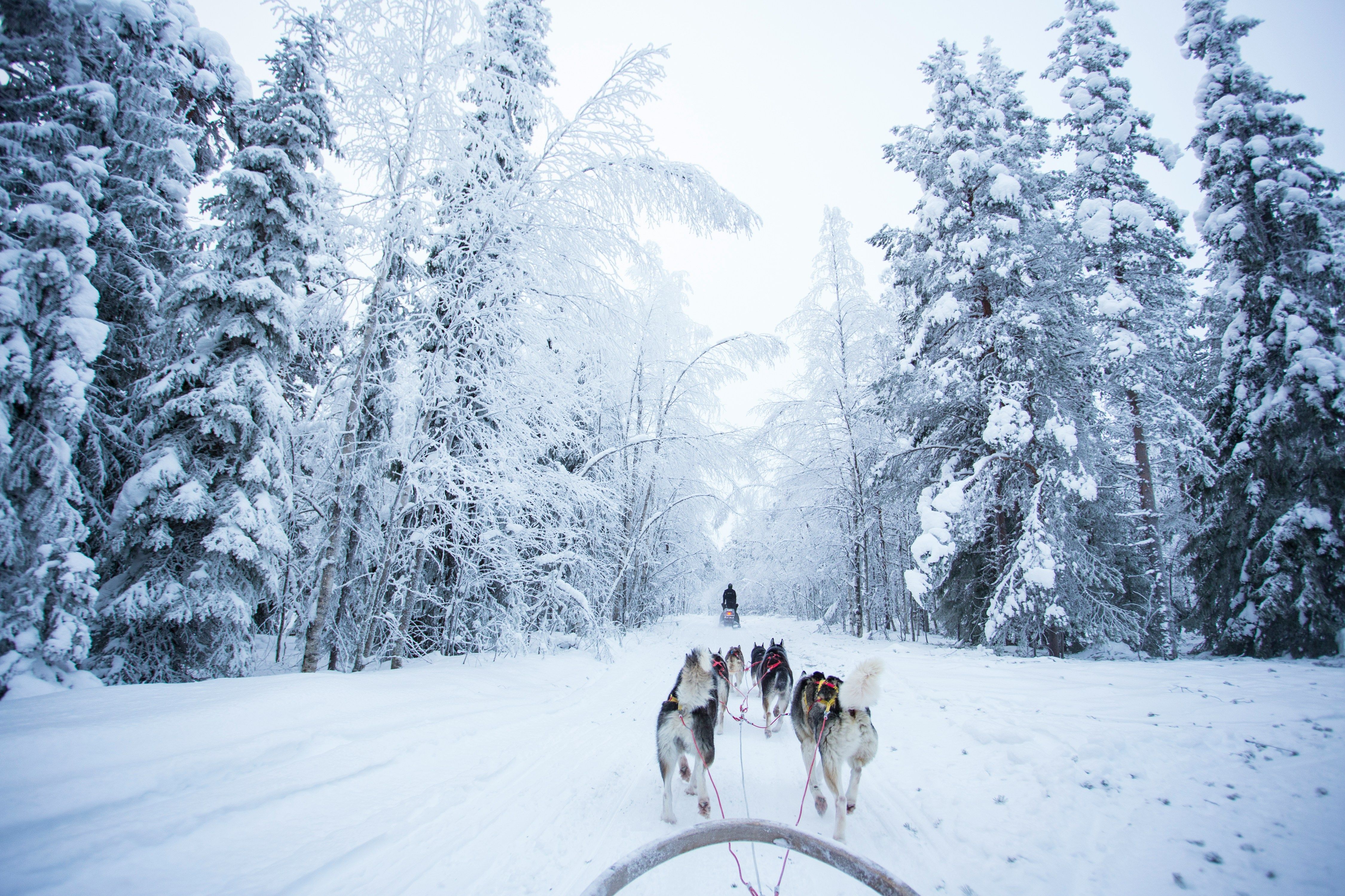 Constanta-Rovaniemi - Zbor24.ro