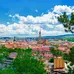 Клуж-Напока - Кишинів
