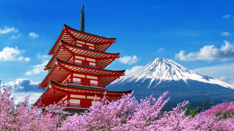 Discover Tokyo with Turkish Airlines!