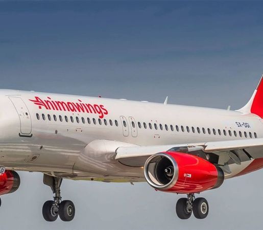 Cheap plane tickets with Animawings - Flugo.ro