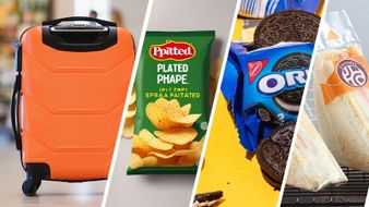 How to transport food on a plane safely and correctly