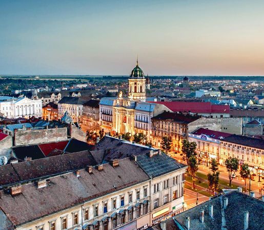 Viena-Arad
