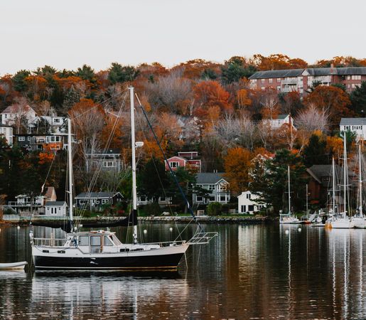 Chișinău-Halifax