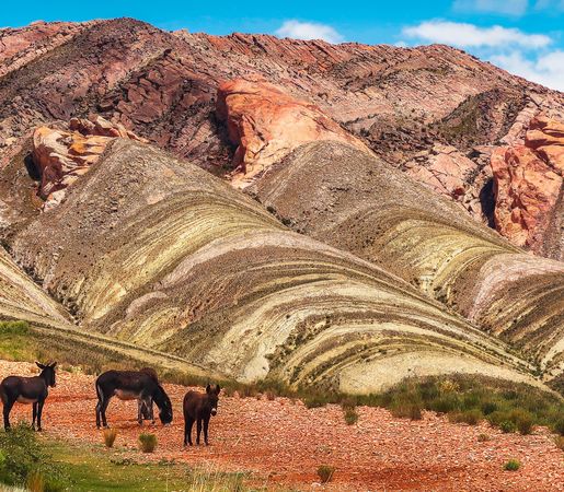 Flights from Romania to Argentina