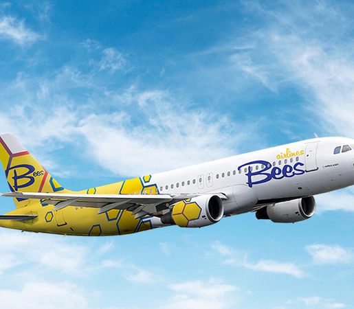 Bilete de avion ieftine cu Bees Airlines - Flugo.ro