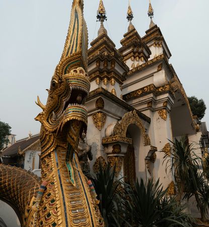 Bacau-Chiang Mai