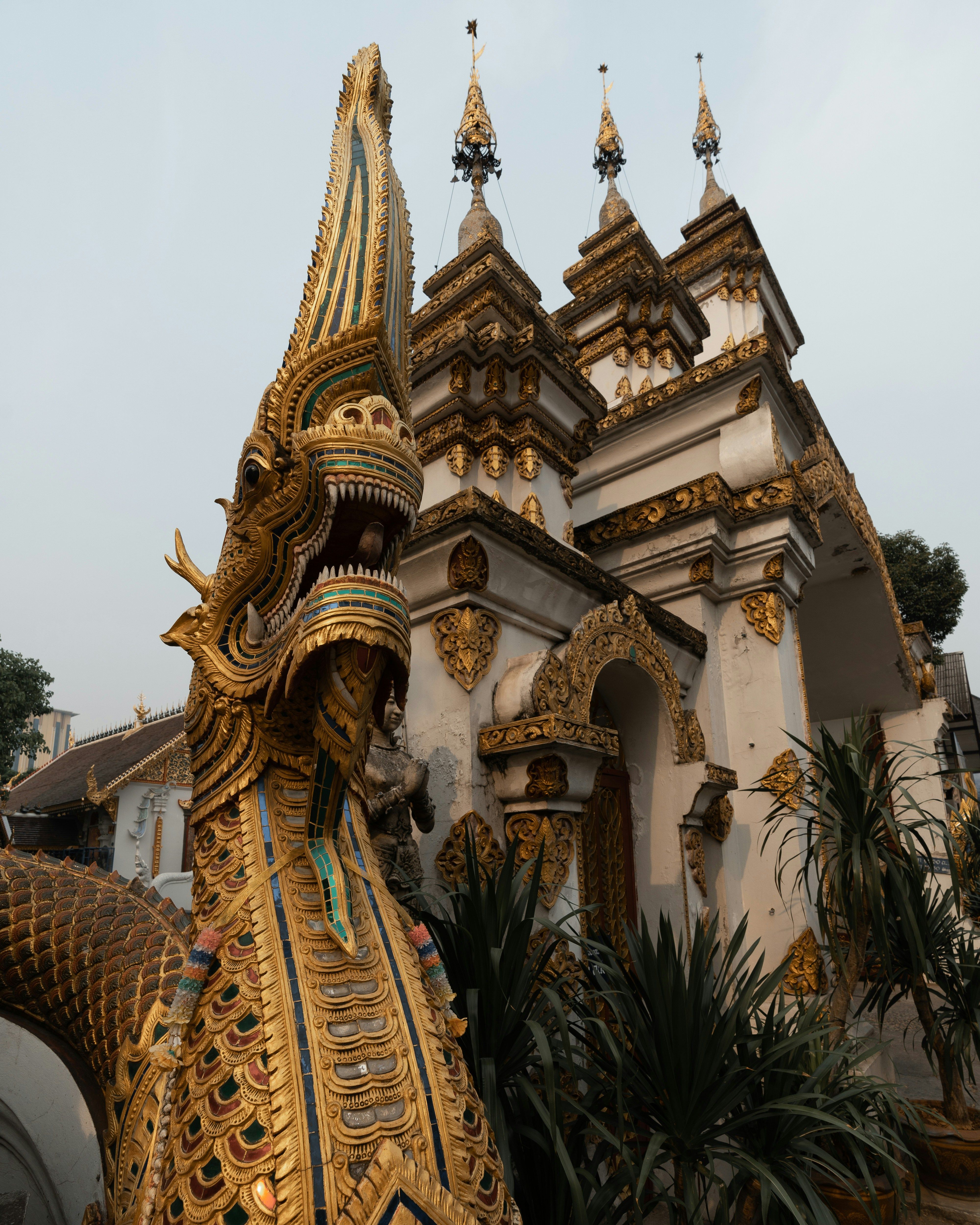 Constanta-Chiang Mai - Zbor24.ro