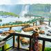 Foz do Iguacu - Baia Mare