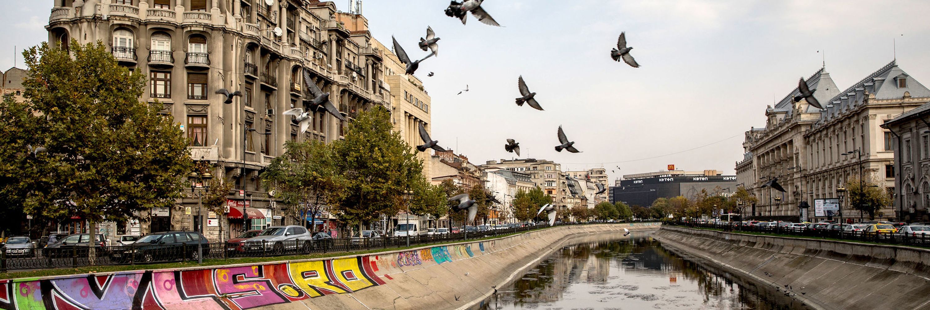 Bilete de avion 
din Iași către București - Zbor24.ro