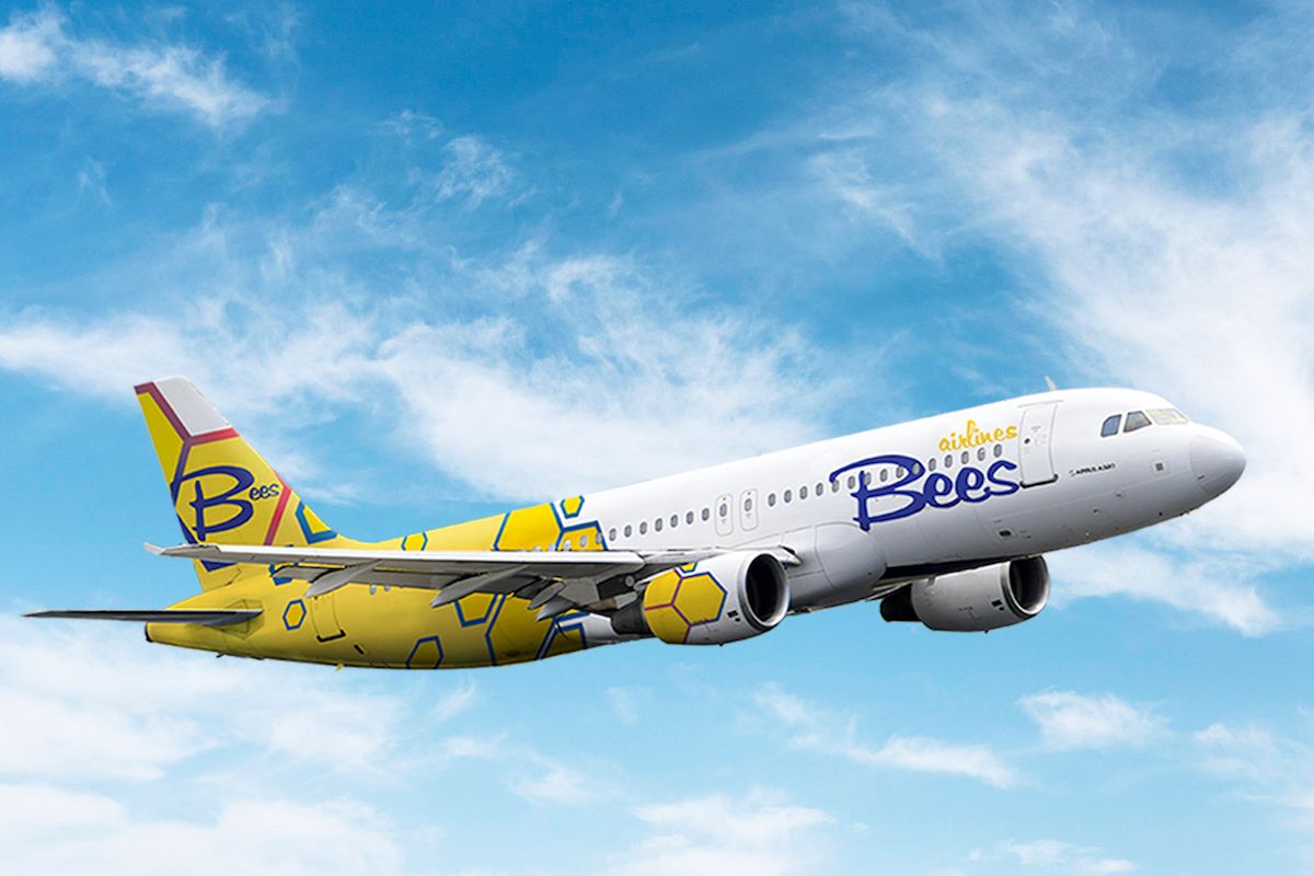 Cheap plane tickets with Bees Airlines - Flugo.ro - Flugo